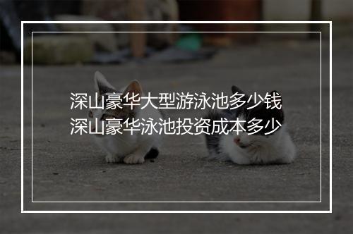 深山豪华大型游泳池多少钱　深山豪华泳池投资成本多少